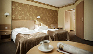 Hotel Witek